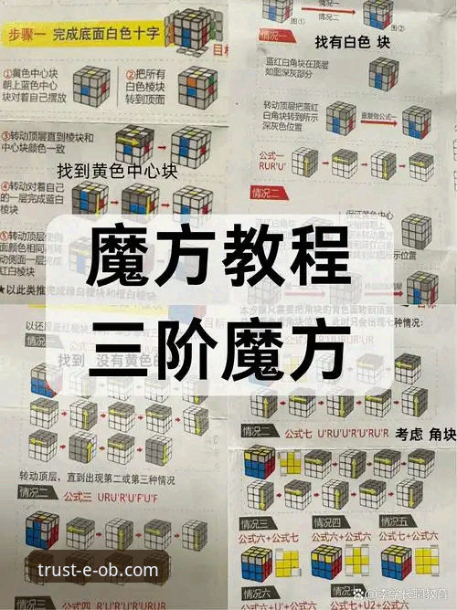 OB真人全面解析：从新手到高手的玩法突破指南